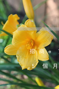 招商e貸逾期起訴銀行(招商銀行e招貸逾期5個月,會立案抓捕我嗎)