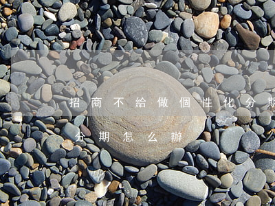 招商不給做個性化分期(招行不給辦理個性化分期怎么辦?)