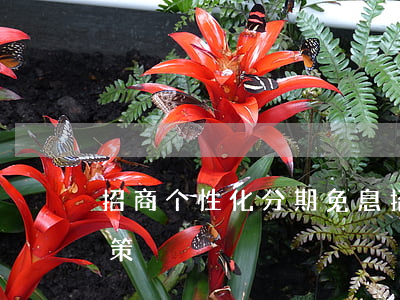 招商个性化分期免息(招商银行个性化分期政策)