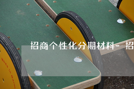 招商个性化分期材料-招商个性化分期要求