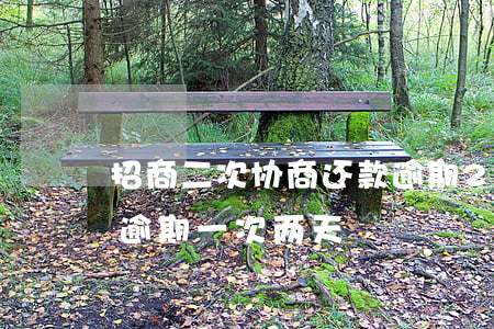 招商二次协商还款逾期2天-协商还款后又逾期一次两天