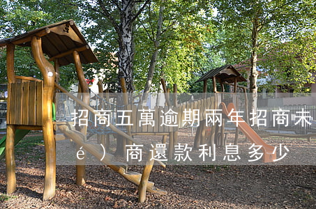 招商五萬逾期兩年（招商未逾期5萬協(xié)商還款利息多少）