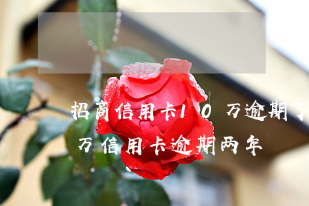 招商信用卡10万逾期了别慌(招商银行11万信用卡逾期两年)