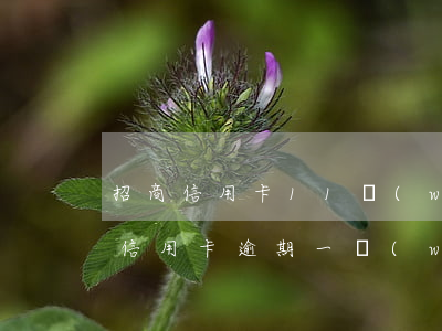 招商信用卡11萬(wàn)逾期(招商銀行信用卡逾期一萬(wàn)多久會(huì)被起訴)