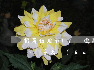 招商信用卡11萬逾期(招商銀行信用卡逾期一萬多久會(huì)被起訴)