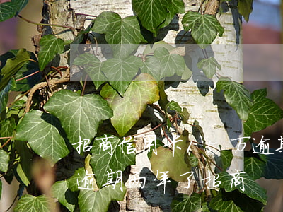 招商信用卡15万逾期了(信用卡25000逾期两年了招商)