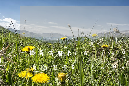 招商信用卡15萬(wàn)分36期-招商信用卡6萬(wàn)分36期