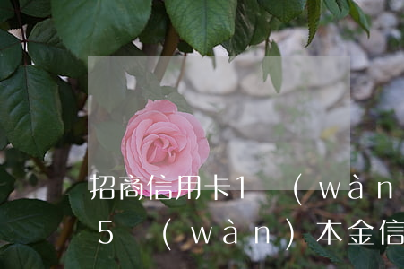 招商信用卡1萬(wàn)元逾期1年(招商5萬(wàn)本金信用卡逾期4年)
