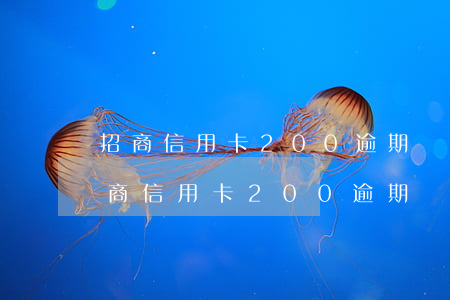 招商信用卡200逾期對(duì)征信 招商信用卡200逾期對(duì)征信有影響嗎