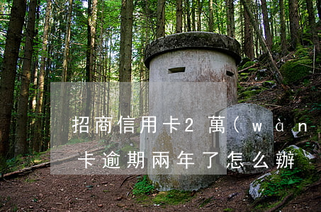 招商信用卡2萬(wàn)6逾期(招商信用卡逾期兩年了怎么辦)