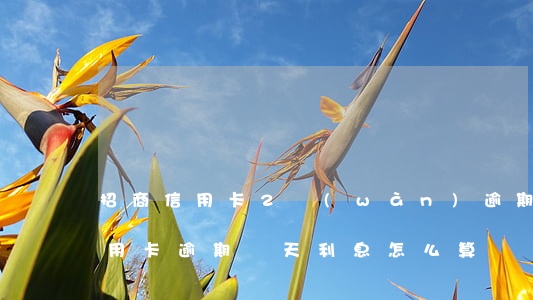 招商信用卡2萬(wàn)逾期利息(招商信用卡逾期兩天利息怎么算)