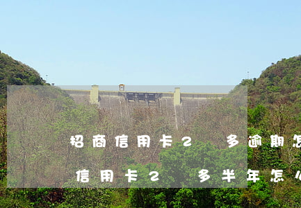 招商信用卡2萬多逾期怎么辦(欠款招商銀行信用卡2萬多半年怎么辦)