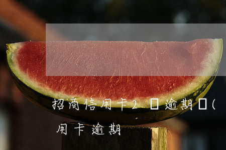 招商信用卡2萬逾期協(xié)商 招商信用卡 逾期