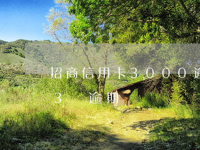 招商信用卡3000逾期半年(招商信用卡13萬逾期)