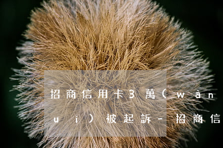 招商信用卡3萬(wàn)逾期多久會(huì)被起訴-招商信用卡3萬(wàn)逾期多久會(huì)被起訴呢