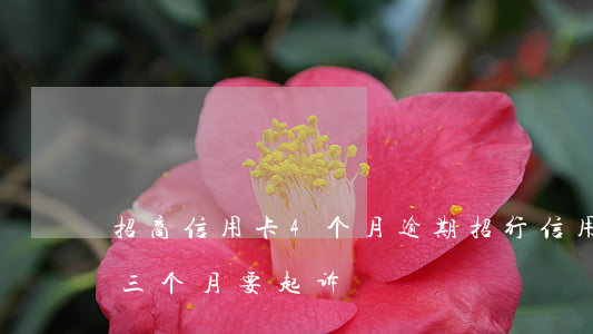 招商信用卡4个月逾期（招行信用卡5万逾期三个月要起诉）