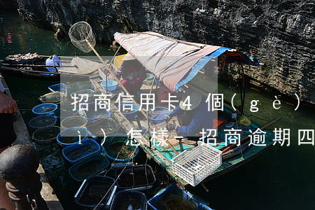 招商信用卡4個(gè)月逾期了會(huì)怎樣-招商逾期四個(gè)月