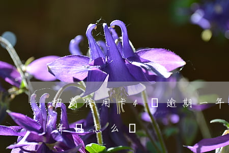 招商信用卡4萬逾期一年(招商信用卡逾期三年會怎么樣)