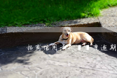 招商信用卡4萬額度逾期兩年