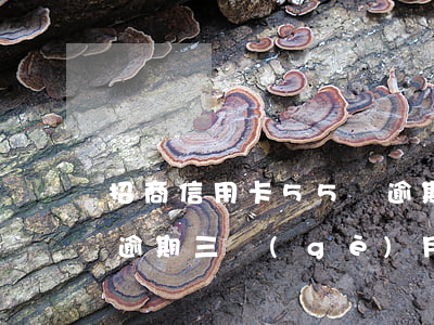 招商信用卡55萬逾期(招商銀行信用卡5萬逾期三個(gè)月要起訴我真的么)