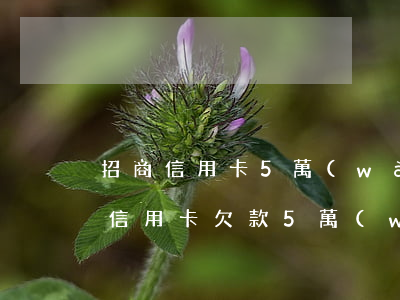 招商信用卡5萬(wàn)多逾期(招商銀行信用卡欠款5萬(wàn)多逾期4個(gè)月怎么辦)