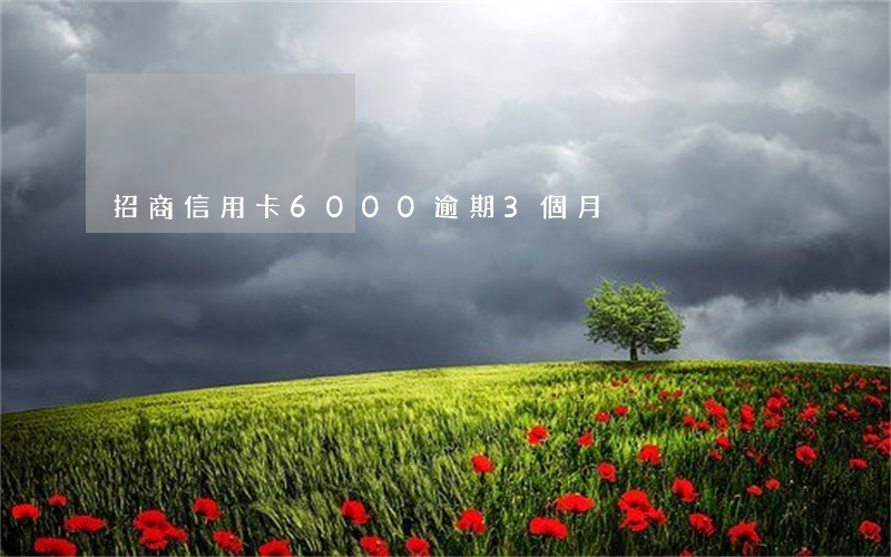 招商信用卡6000逾期3個月