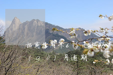招商信用卡6千元逾期半年(招商信用卡4個(gè)月逾期)