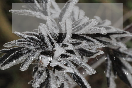 招商信用卡6萬(wàn)逾期3個(gè)月說(shuō)起訴,是不是真的（招商信用卡逾期六萬(wàn)利息）