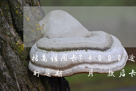招商信用卡74000逾期2個月-招商銀行逾期兩個月還款后卡還能用嗎
