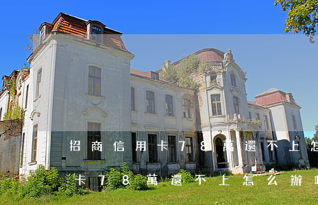 招商信用卡78萬還不上怎么辦-招商信用卡78萬還不上怎么辦呢