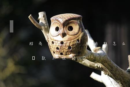 招商信用卡7月逾期怎么辦-招商逾期7天還款上征信嗎