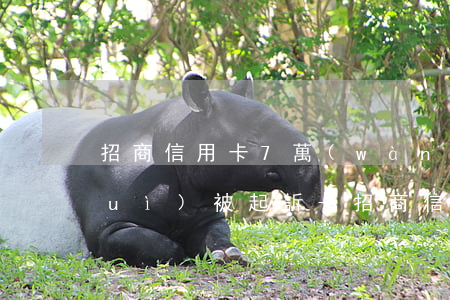 招商信用卡7萬(wàn)逾期多久會(huì)被起訴-招商信用卡7萬(wàn)逾期多久會(huì)被起訴呢