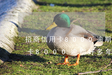 招商信用卡8000逾期好多年-招商信用卡8000逾期好多年了