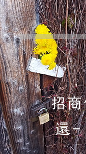 招商信用卡e招貸欠一萬(wàn)一年未還-招商信用卡e招貸逾期一個(gè)星期有事嗎