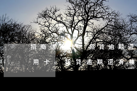 招商信用卡e招貸逾期還有補救嗎-招商信用卡e招貸逾期還有補救嗎是真的嗎