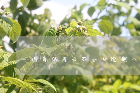 招商信用卡不小心逾期一周(招商逾期1個月)