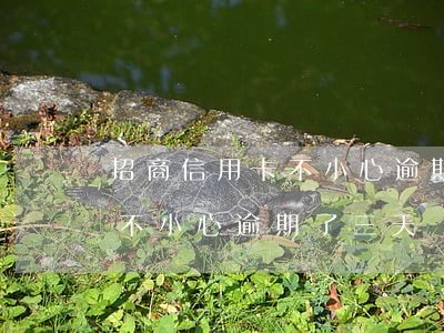 招商信用卡不小心逾期了三天-招商信用卡不小心逾期了三天會上征信嗎