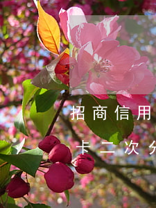 招商信用卡二次分期逾期后怎么辦(招商信用卡二次分期逾期后怎么辦)