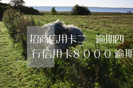 招商信用卡二萬逾期四個(gè)月(招商銀行信用卡8000逾期4個(gè)月會上門嗎)
