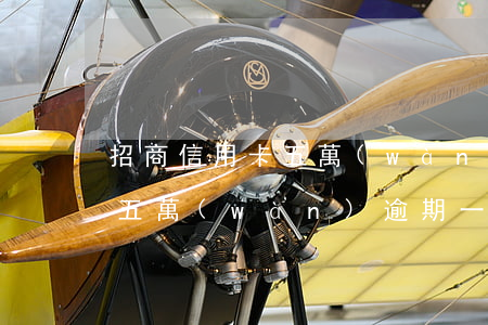招商信用卡五萬(wàn)逾期(招商信用卡五萬(wàn)逾期一個(gè)月應(yīng)還多少錢)