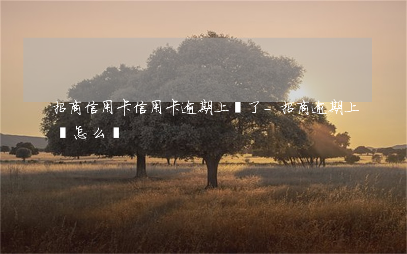 招商信用卡信用卡逾期上門了-招商逾期上門怎么辦