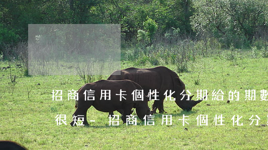 招商信用卡個性化分期給的期數(shù)很短-招商信用卡個性化分期給的期數(shù)很短怎么辦