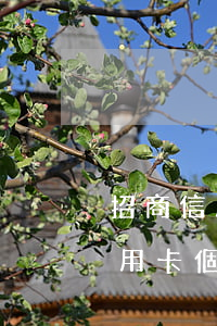 招商信用卡個性化分期賬單在哪看-招商信用卡個性化分期賬單在哪看啊