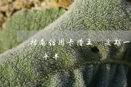 招商信用卡借五萬逾期一年(5千信用卡逾期兩年半)