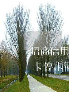 招商信用卡停卡了怎么恢复正常-招商信用卡停卡了怎么恢复正常使用
