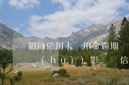 招商信用卡備用金逾期兩天(備用金逾期一天會(huì)影響辦信用卡嗎)