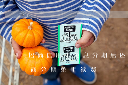 招商信用卡免息分期后还收其他费用吗-招商分期免手续费