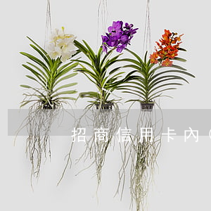 招商信用卡內(nèi)部協(xié)商