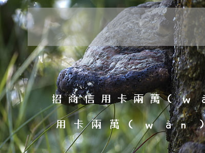 招商信用卡兩萬(wàn)逾期三年(招商信用卡兩萬(wàn)逾期三年)