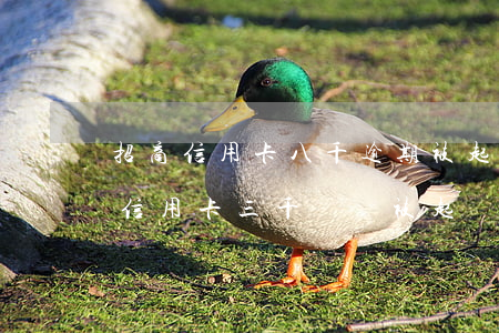招商信用卡八千逾期被起訴民生(欠招商銀行信用卡三千塊錢被起訴了怎么辦)